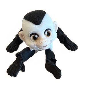 Capuchin Monkey
