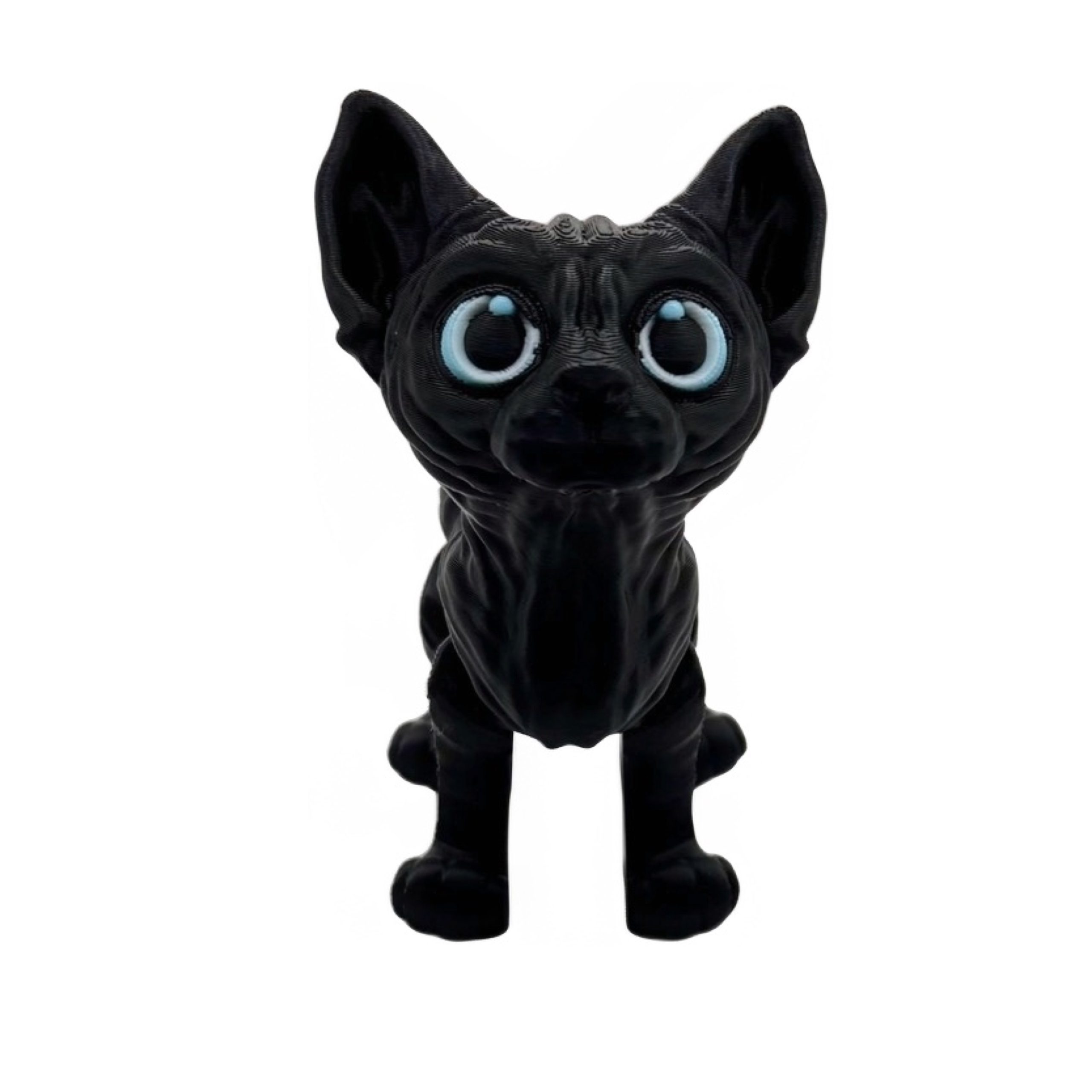 Sphinx Cat