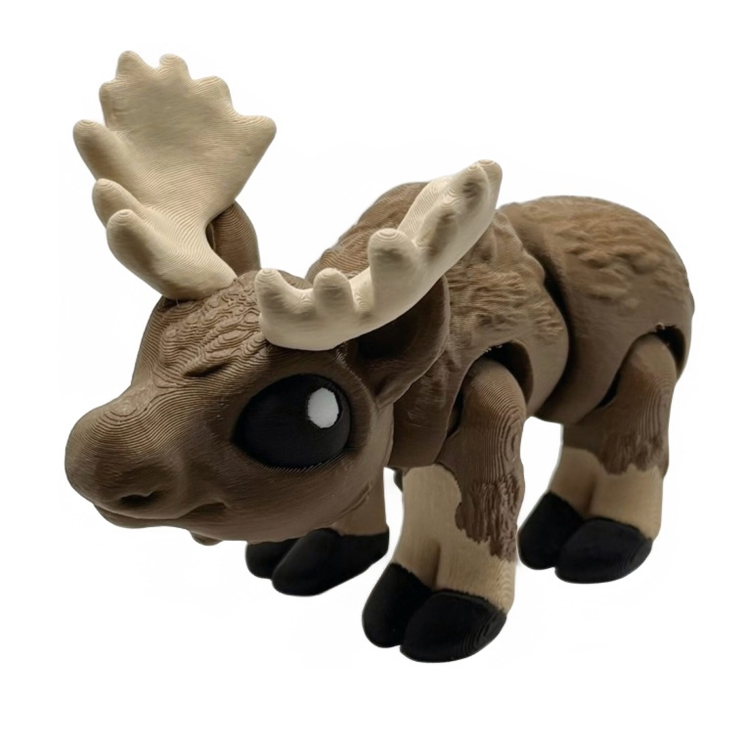 Moose