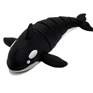 Orca Whale