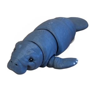 Manatee