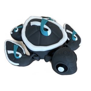 Cervical Cancer Awareness Turtle – Layersake Exclusive