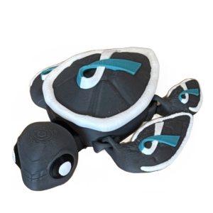 Cervical Cancer Awareness Turtle