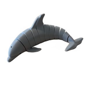 Dolphin