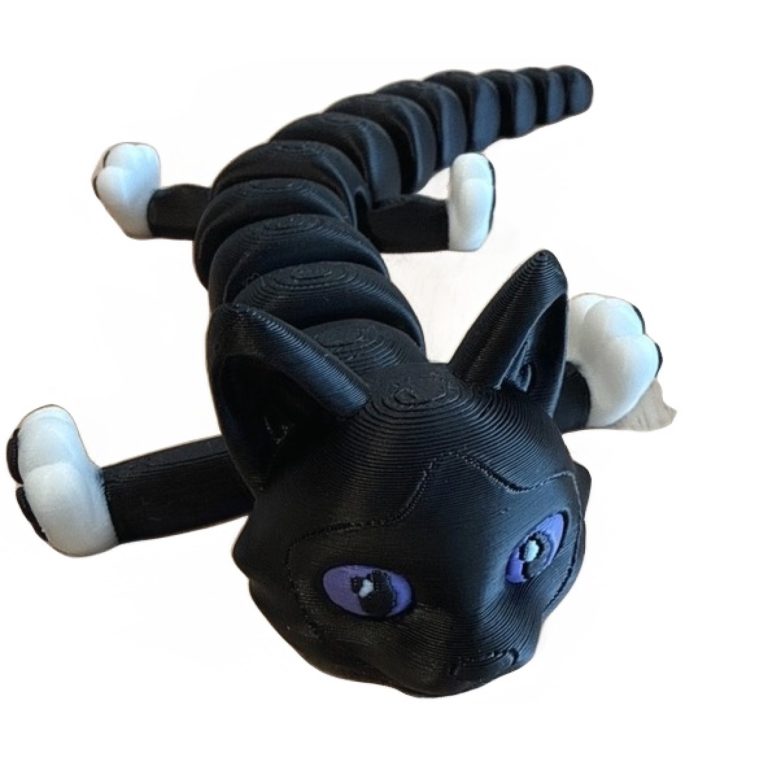 Black Cat