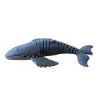 Humpback Whale