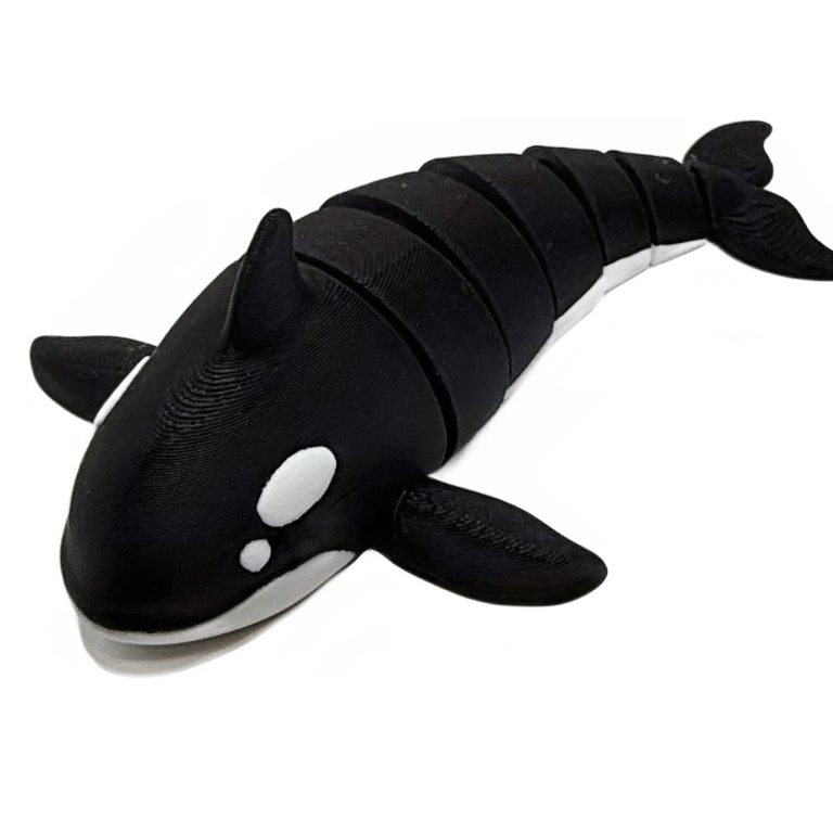 Orca Whale