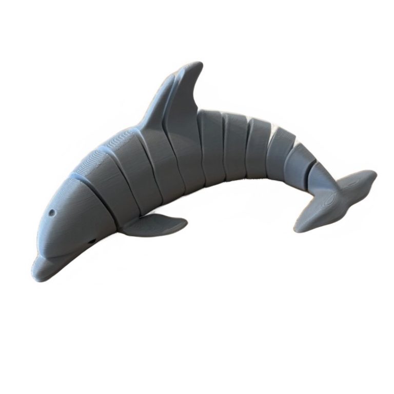 Dolphin