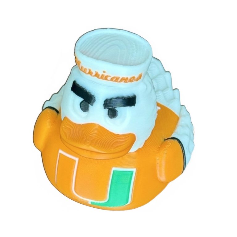 Miami Hurricane Duck